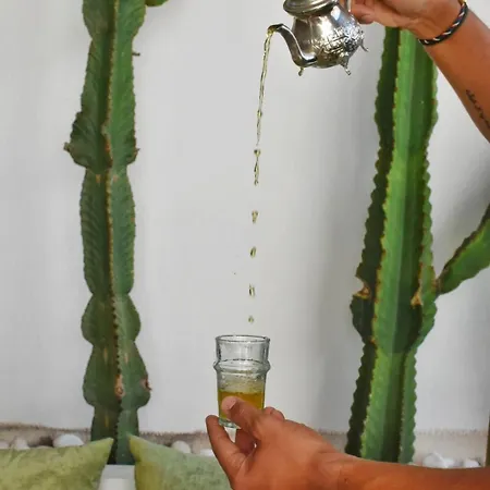 리야드 La Casa De Mama 마르베야