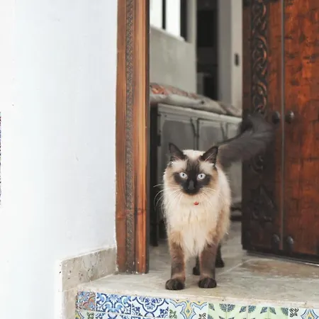 Riad La Casa De Mama *