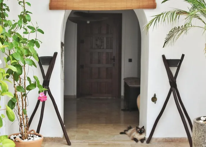 Hotel typu riad La Casa De Mama 3*