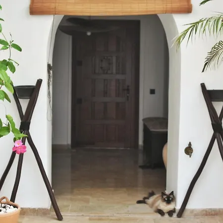 Μαροκινή κατοικία La Casa De Mama 3*