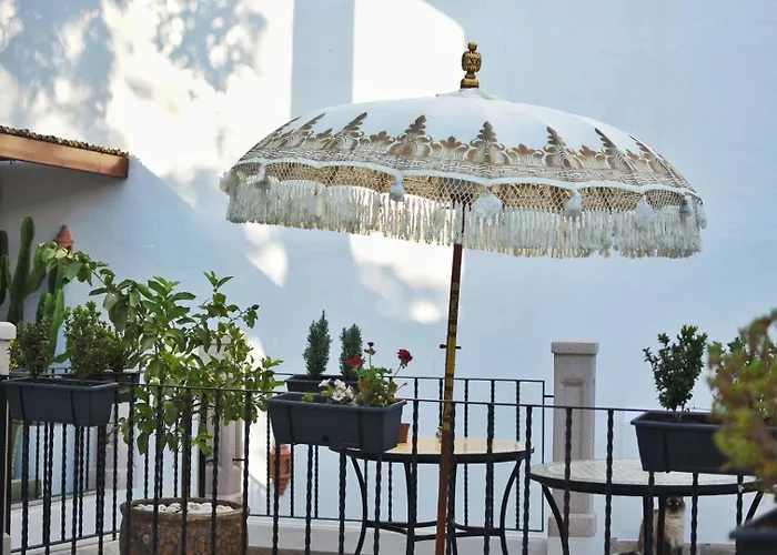 La Casa De Mama
